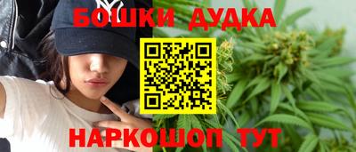 мдпв Славгород