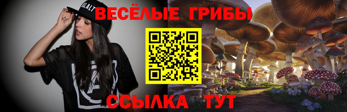 Галлюциногенные грибы мухоморы Малоярославец